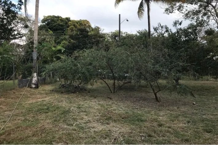 Se vende terreno plano, en Gorgona, Panamá Oeste