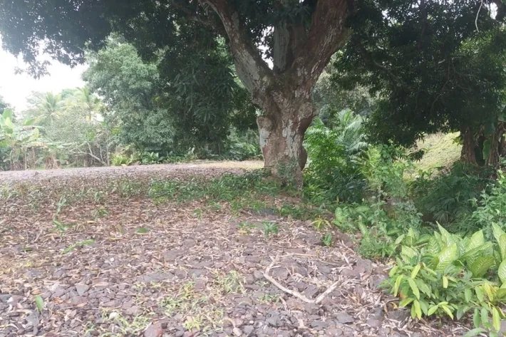 Se vende terreno en Arraiján, Panamá Oeste