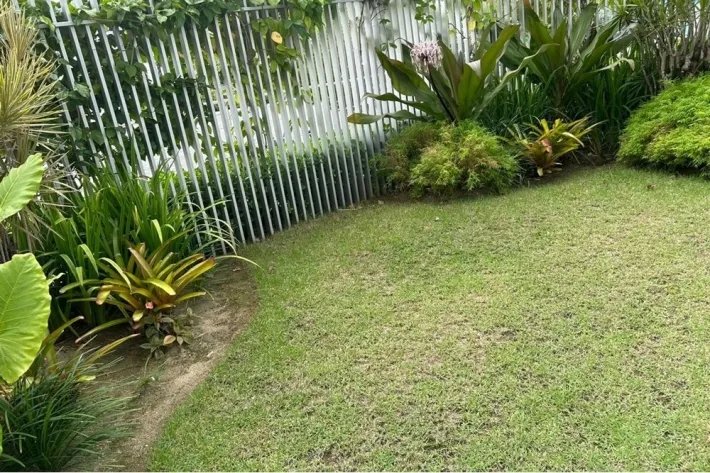 Alquiler de apartamento en Ocean Reef, San Francisco, Panamá