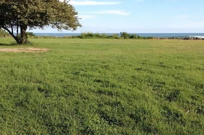 Lote de terreno frente al mar en venta en Punta Roca, San Carlos