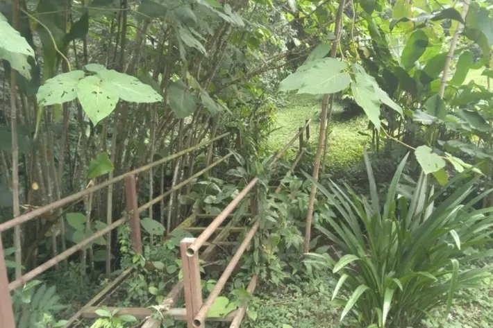 Land for sale in Chiriqui, Panama