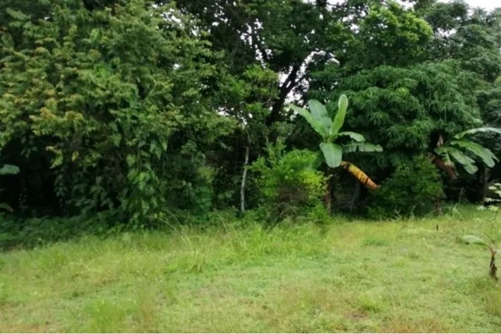 Land lot for sale in La Mesa, San Martin, Panama