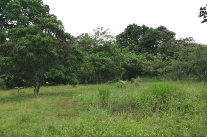 Land lot for sale in La Mesa, San Martin, Panama