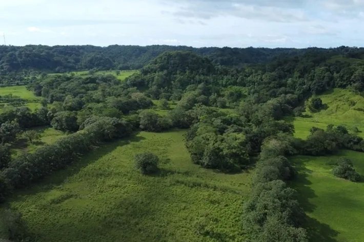 Terreno en alquiler en Colón, Achiote
