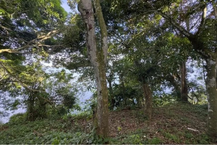 Land for sale in Escobal, Colon