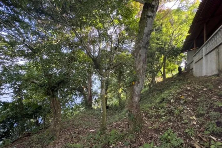 Land for sale in Escobal, Colon