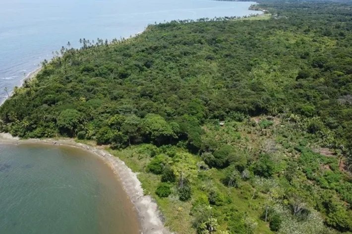 Land for sale facing the Caribbean Sea in Chagres, Colon
