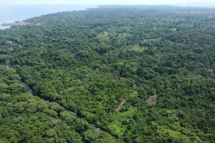 Land for sale facing the Caribbean Sea in Chagres, Colon
