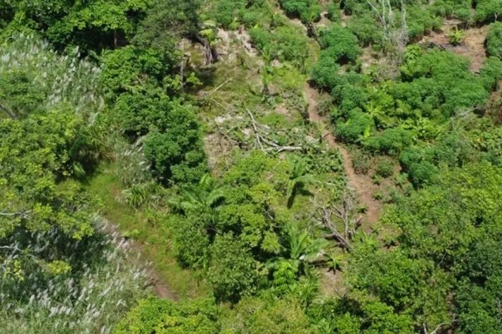 Terreno en venta frente al Mar Caribe en Chagres, Colón