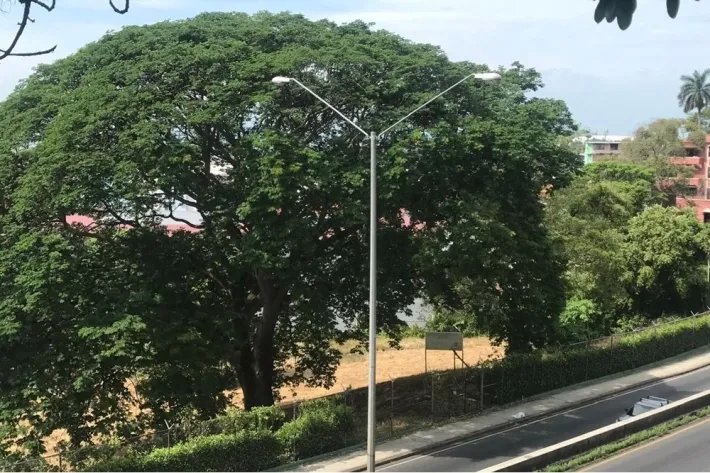 Land for rent in Ancon, Panama
