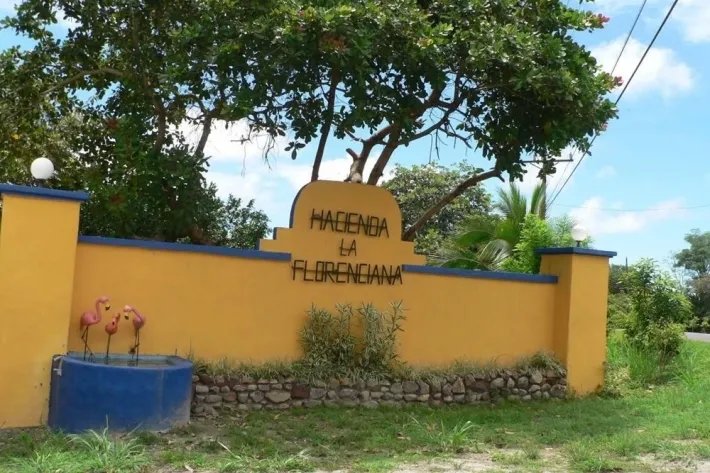 Se vende lote de terreno en Hacienda La Florenciana, Las Uvas de San Carlos
