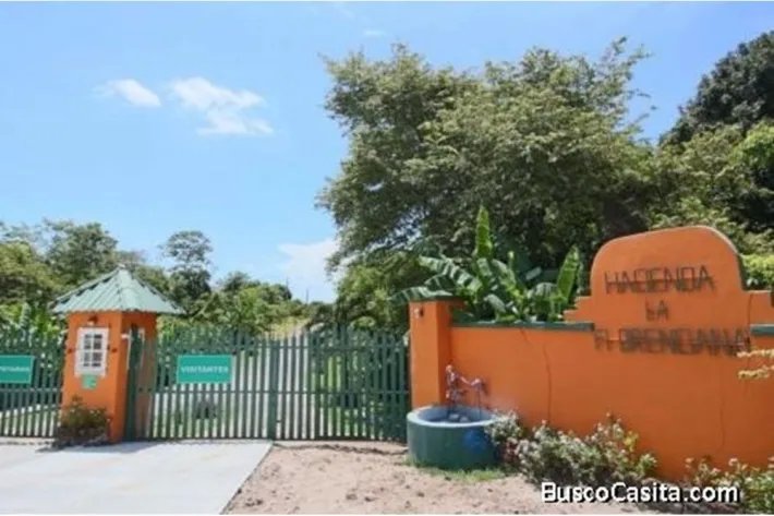 Se vende lote de terreno en Hacienda La Florenciana, Las Uvas de San Carlos