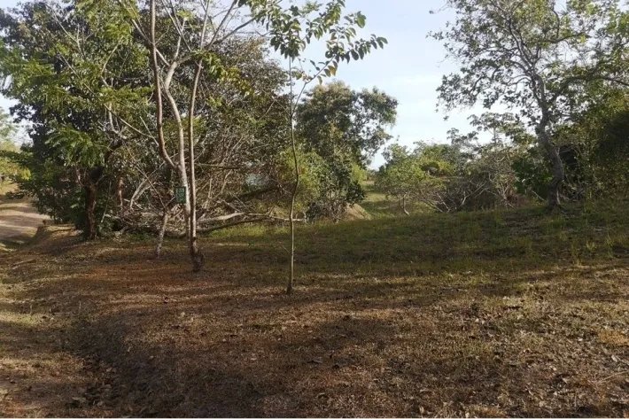 Se vende lote de terreno en Hacienda La Florenciana, Las Uvas de San Carlos