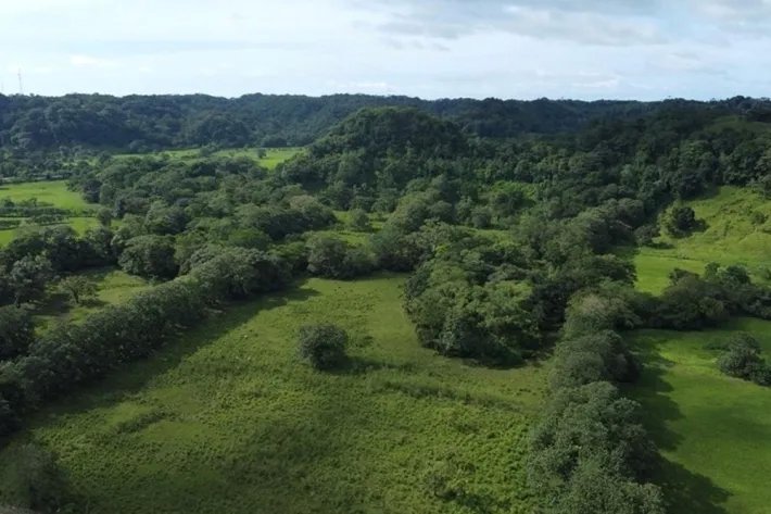Land for sale in Colon, Achiote