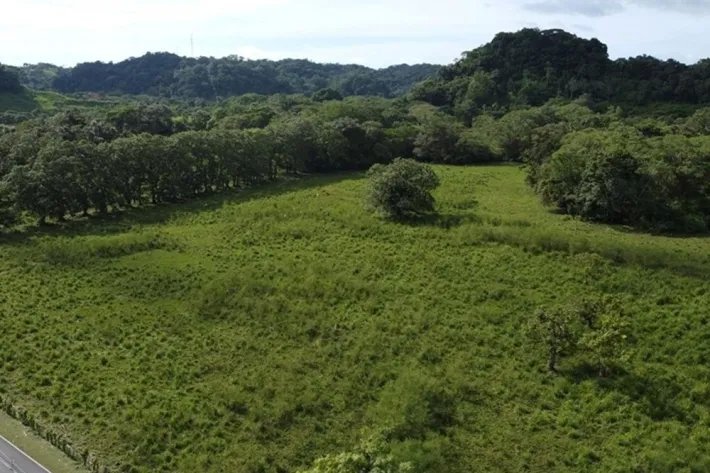 Land for sale in Colon, Achiote