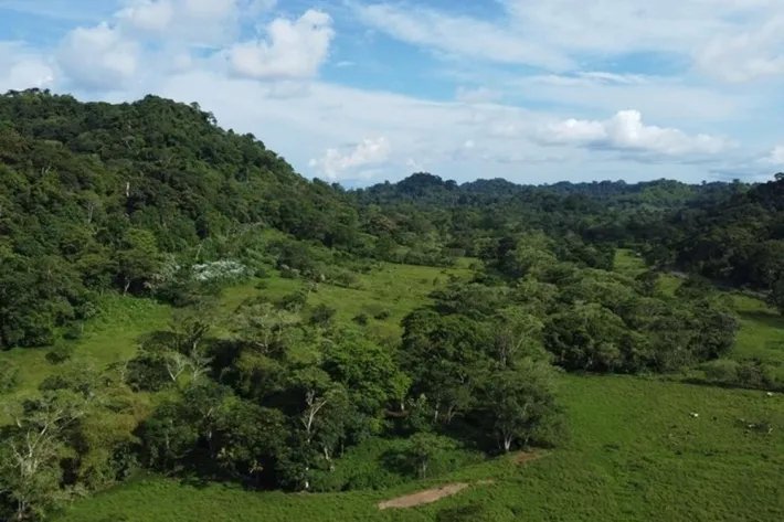 Land for sale in Colon, Achiote