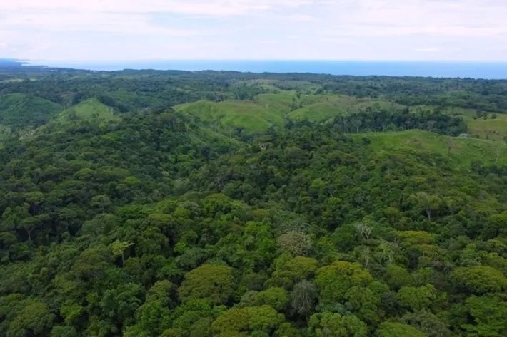 Terreno en alquiler en Colón, Piña
