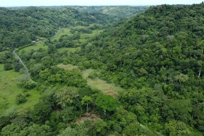 Terreno en alquiler en Colón, Piña