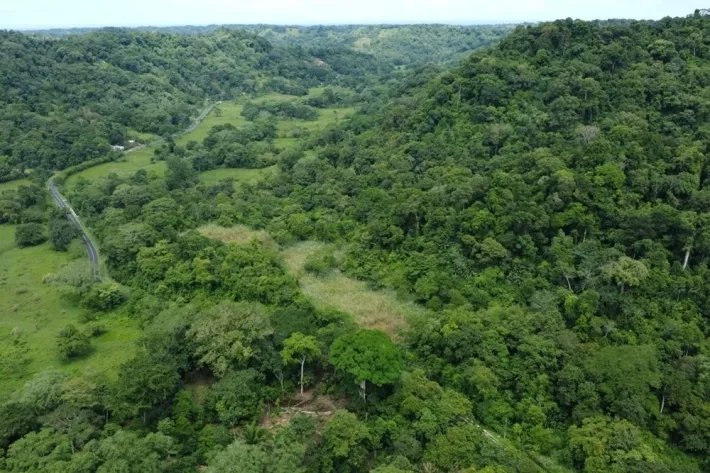 Land for rent in Colón, Piña