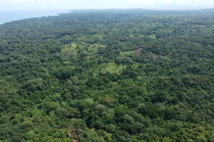 Land for sale in Piña, Colon