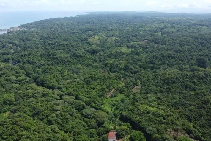 Land for sale in Piña, Colon