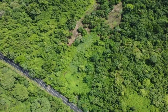 Land for sale in Piña, Colon