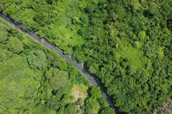 Land for sale in Piña, Colon