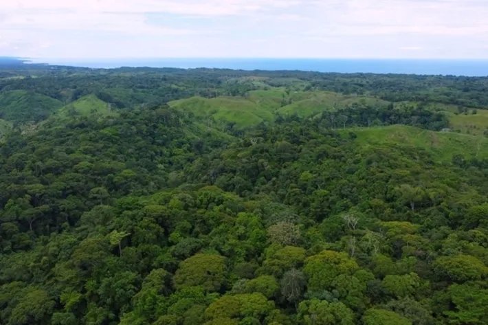 Land for sale in Piña, Colon