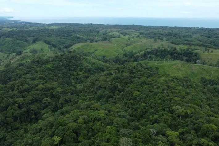Land for sale in Piña, Colon