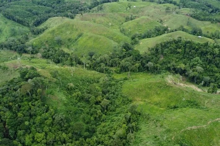 Land for sale in Piña, Colon