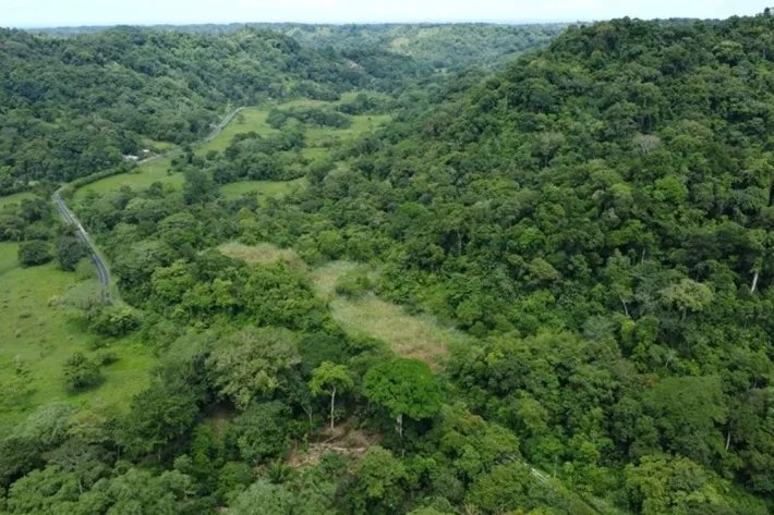 Land for sale in Piña, Colon