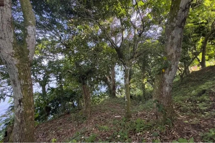 Alquiler de terreno en Escobal, Colón