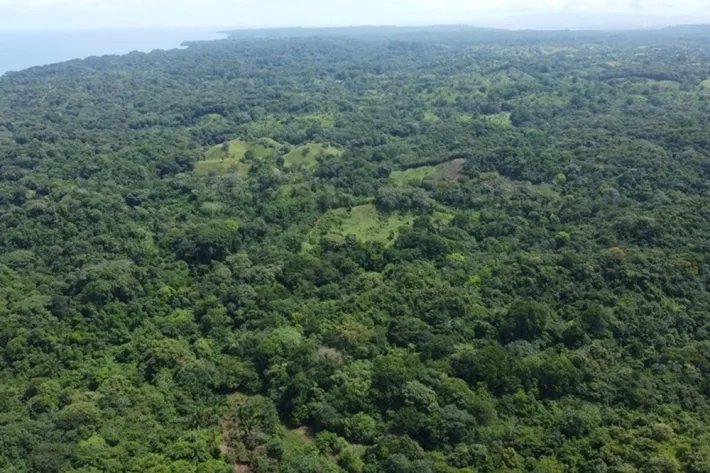 Terreno en alquiler en Colón, Piña