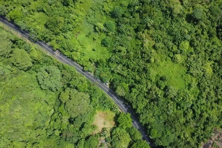 Terreno en alquiler en Colón, Piña