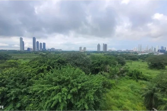 Apartment for sale in PH Mystic Blue, Juan Diaz, panama