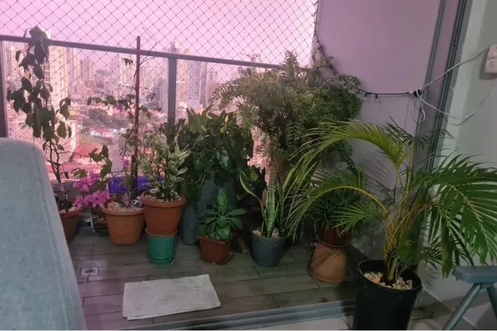 Alquiler de apartamento en Vía España, Panamá