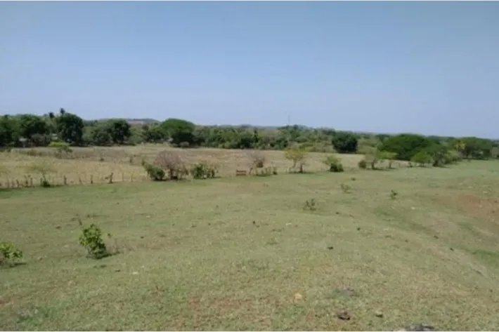 Venta de finca en Pesé, Herrera, Panamá