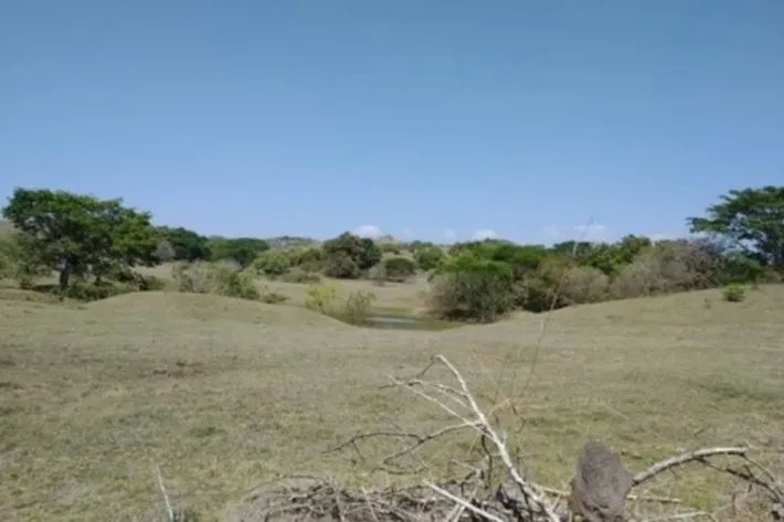 Venta de finca en Pesé, Herrera, Panamá