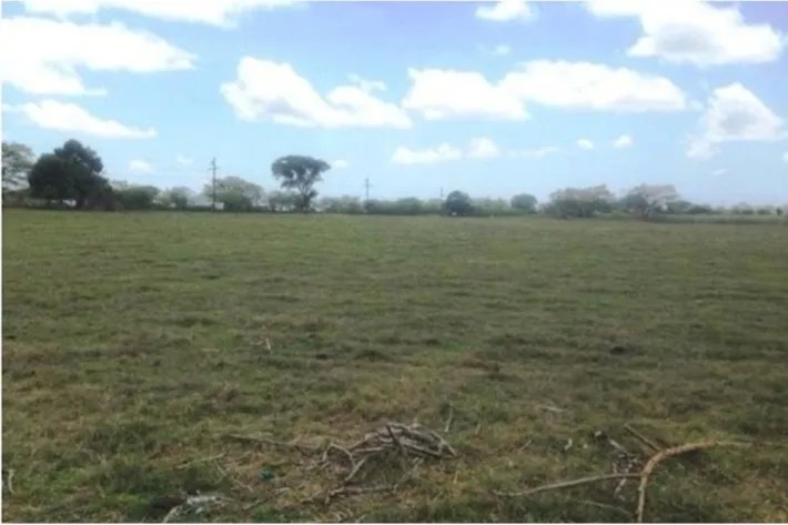 Venta de finca en Pesé, Herrera, Panamá