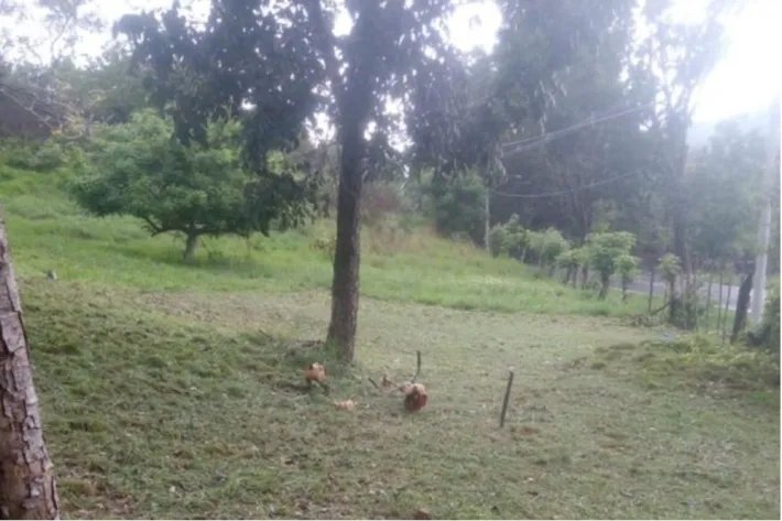 Lot for sale in Buenos Aires, Llano Grande, Chame