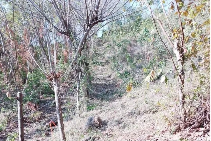 Lot for sale in Buenos Aires, Llano Grande, Chame