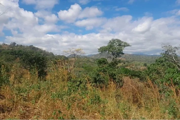 Lot for sale in Buenos Aires, Llano Grande, Chame