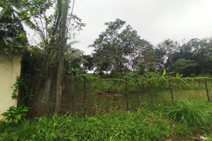 Se alquila terreno en Villalobos, Pedregal