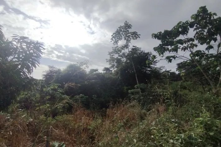 Lote de terreno en venta en Calzada Larga, Chilibre