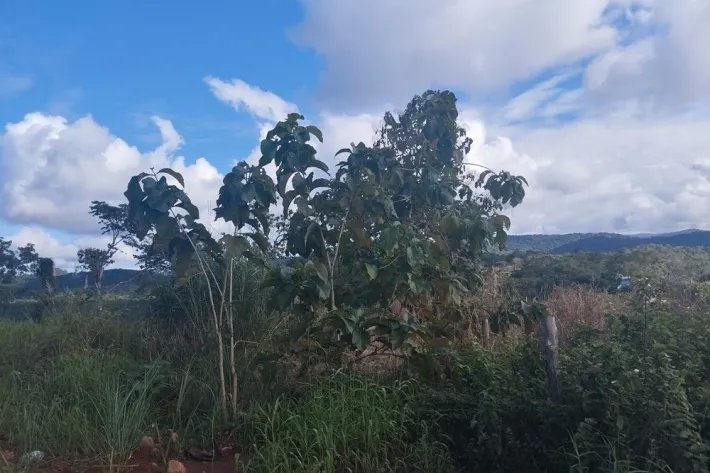 Lote de terreno en venta en Calzada Larga, Chilibre