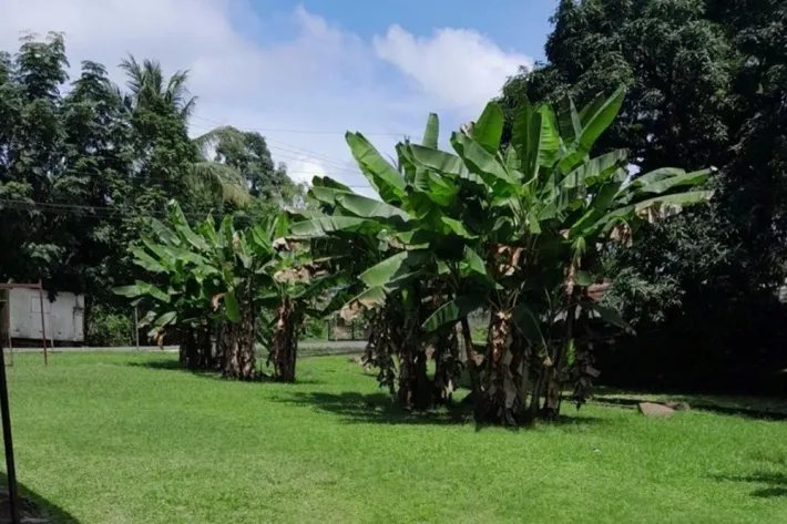 Commercial land for sale in Chilibre, Panama