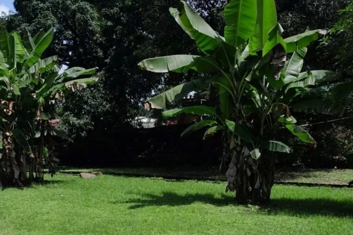 Venta de terreno comercial en Chilibre, Panamá