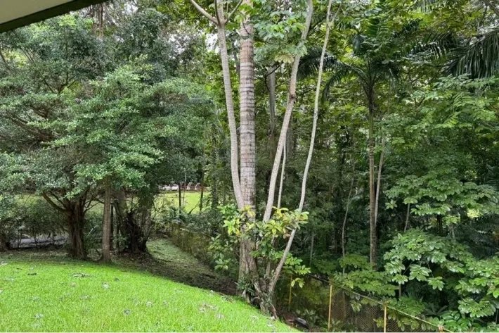 Alquiler de casa en Balboa, Cerro Ancón, Panamá