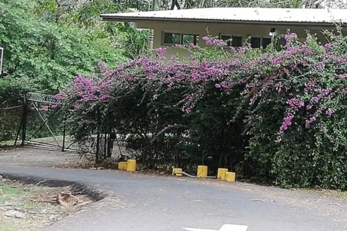 Alquiler de casa en Balboa, Cerro Ancón, Panamá