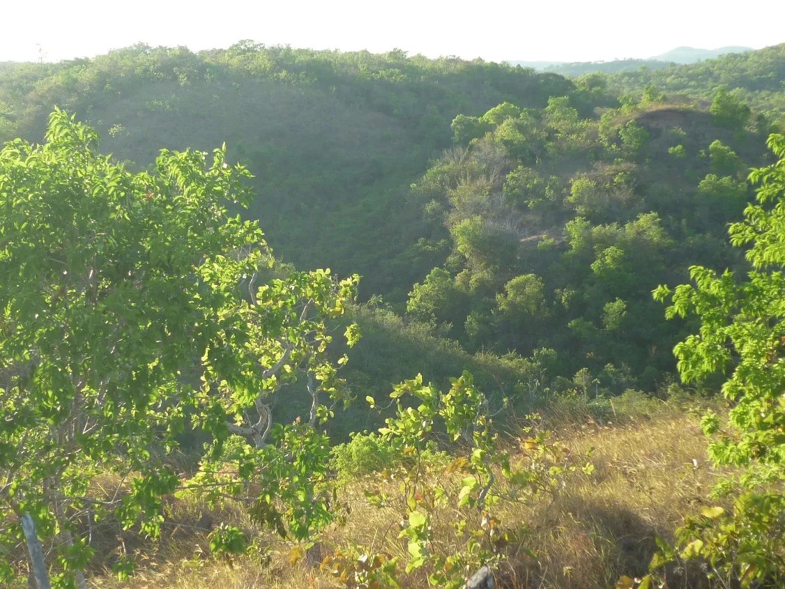 Venta de Terreno en Calobre